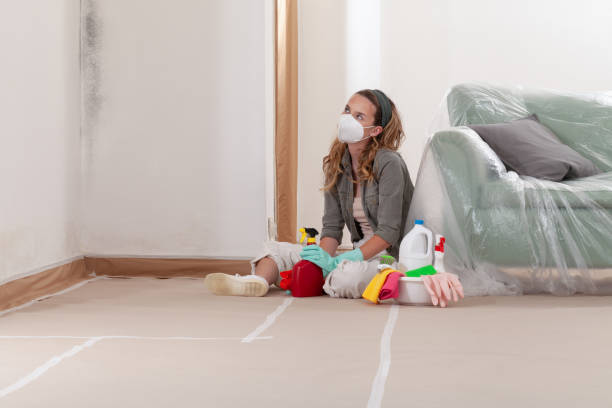 Reliable Mold Remediation contractor in Georgetown, MA by Cheap Mold Removal